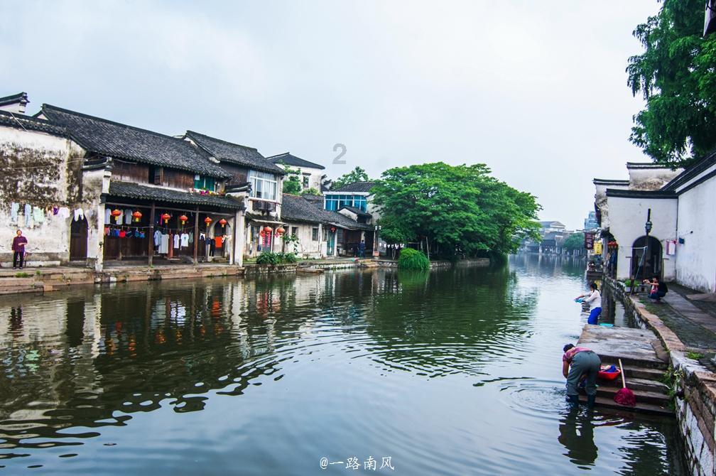 救援袋鼬
